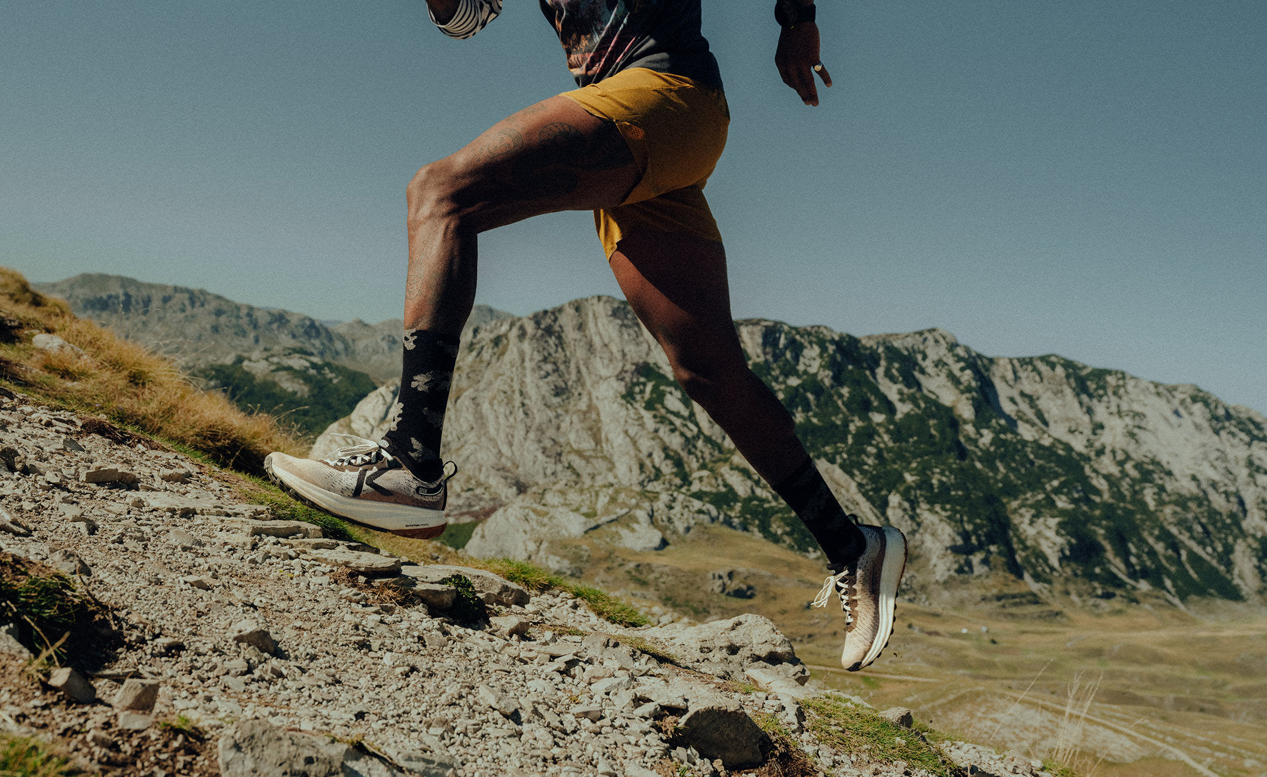 Men's Seek Trail Running Shoe | Willowherb/Orange Peel - Image 7
