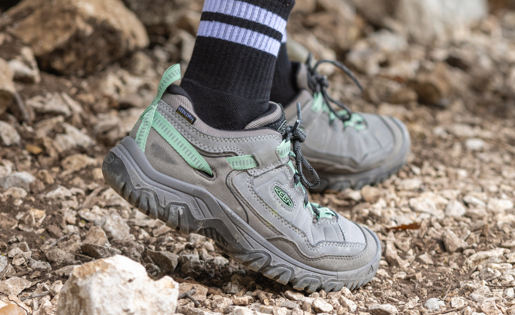 Women's Targhee IV Waterproof Hiking Shoe | Bison/Huckleberry - Image 7